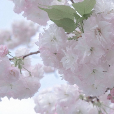 索县FurryQQ群介绍